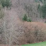 Air Paix Le Mont